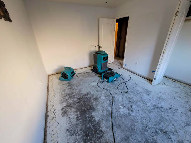 Best Residential water damage restoration  in Rolla, ND