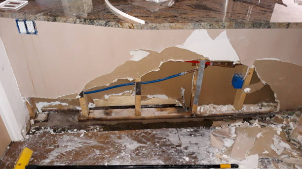 Best Sewage cleanup and water damage restoration  in Rolla, ND