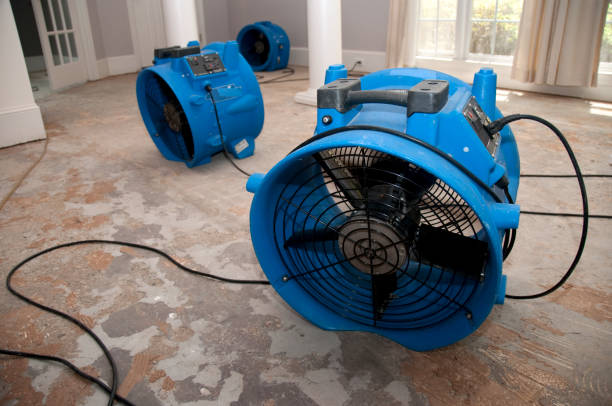 Best Fire Damage Restoration  in Rolla, ND