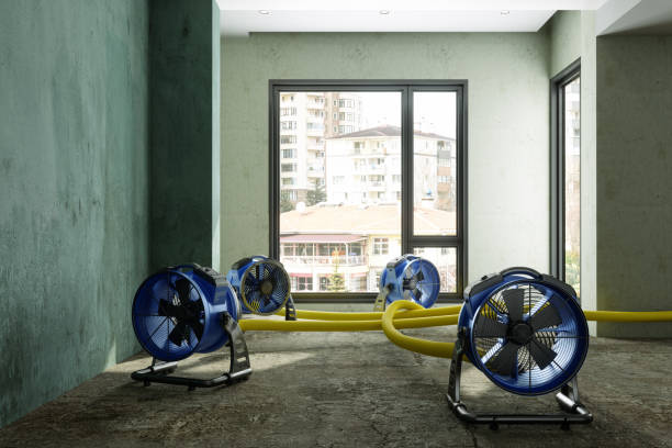  Rolla, ND Water damage restoration Pros